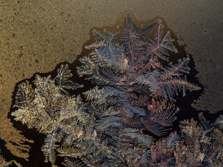 Frosty pattern of natural ice crystals on a dark background. Macro close-up.