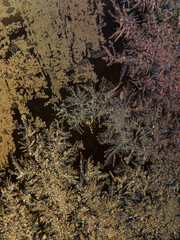 Frosty pattern of natural ice crystals on a dark background. Macro close-up.
