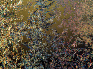 Frosty pattern of natural ice crystals on a dark background. Macro close-up.