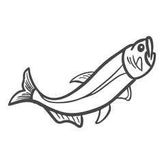 big trout fish animal in sea hand drawn sketch doodle illustration