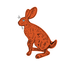 Vector illustration of rabbit, hare