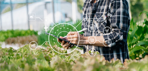 Asian farmer using digital tablet inspecting fresh vegetable in organic farm. Agriculture technology and smart farming concept..