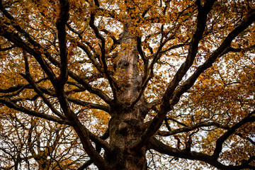 Irland Wicklow Mountains Roadtrip