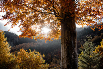 Irland Wicklow Mountains Roadtrip