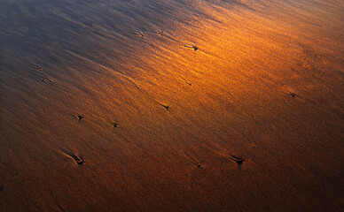 sunset at coast of the sea