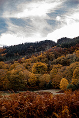 Fototapeta premium Irland Wicklow Mountains Roadtrip