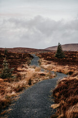 Irland Wicklow Mountains Roadtrip