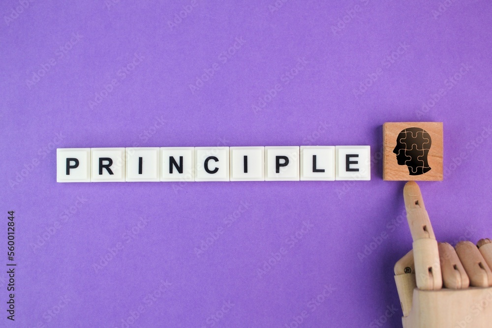 Poster letters of the alphabet with the word principle. principled concept. self motivation. self principle