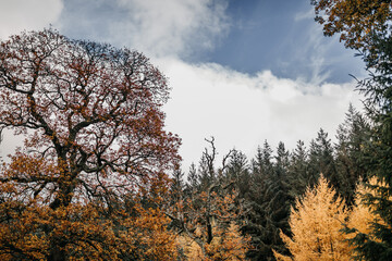 Fototapeta premium Irland Wicklow Mountains Roadtrip