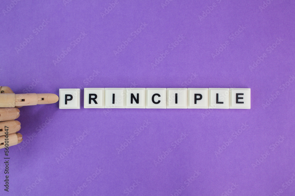 Poster letters of the alphabet with the word principle. principled concept. self motivation. self principle