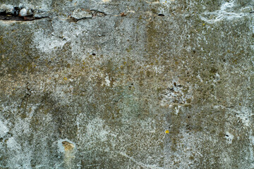 The old cement wall of the building is cracked and covered with mold in wet places.