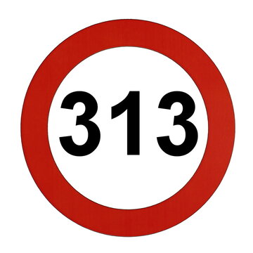 Illustration des Stra&szlig;enverkehrszeichens "Maximale Geschwindigkeit 313 Kilometer pro Stunde"	