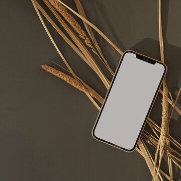 Blank screen mobile phone with copy space on dark background. Dried grass stem. Flat lay, top view. Copy space mockup template.