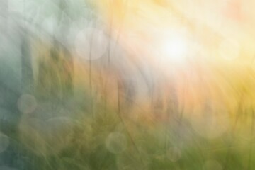 Blurred meadow and sunlight, abstract modern natural background,