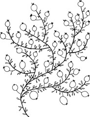 Vector simple hand drawing bush with branches, foliage and berries. For decoration.
