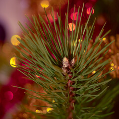 Naklejka na ściany i meble Christmas toy hanging on the Christmas tree for the new year