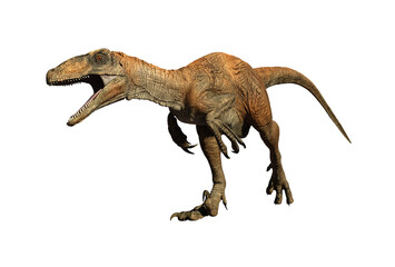 Velociraptor dinosaur jurassic