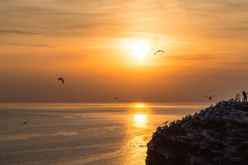 Beautiful sunset over North Sea on the island Heligoland.