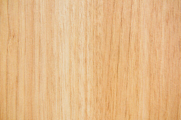 Naklejka premium wood texture, abstract wooden background