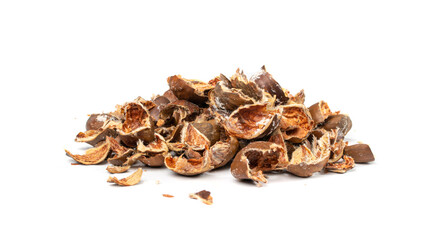 Chestnut Husks Isolated, Edible Sweet Chestnuts Shells, Bio Garbage for Compost, Organic Waste Ingredient
