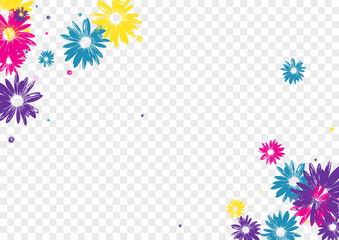 Multi-colored Leaf Background Transparent Vector. Flowers Decoration Tile. Color Chamomile Flourishes. Beauty Backdrop. Summer Pink Gerbera.