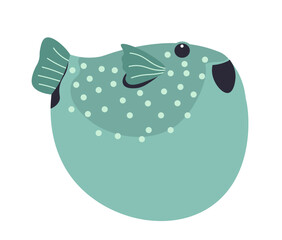 Puffer fish, underwater and sealife aquarium © Sonulkaster