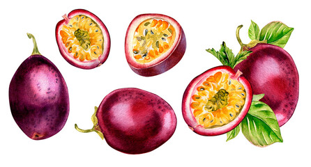 Set of passion fruits, mint and leaves watercolor illustration isolated on white. Whole maracuja hand drawn. Design element for wrapping, menu, smoothies, ice-cream, ingredient, tableware, recipe.
