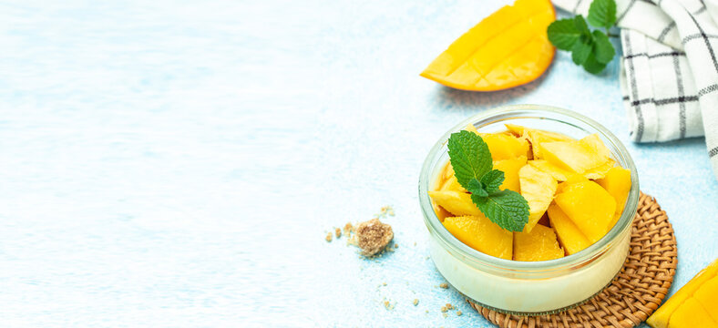 dessert panna cotta with pieces of fresh mango on a light background. Long banner format. top view