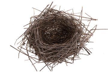 bird's nest isolated