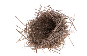 Obraz premium bird's nest isolated