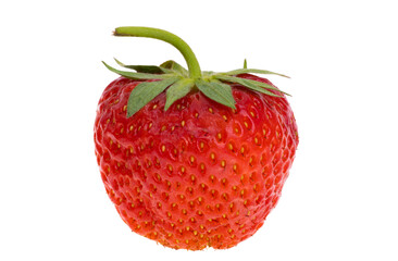 strawberry isolated