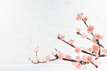 Branch pink sakura in sunlight on soft light white background with plaster wall, wood table, copy space, closeup. Gentle romantic spring flowers background for poster, flyer, card, presentation.