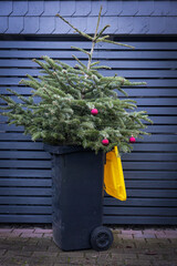 Weihnachtsbaumrecycling-1
