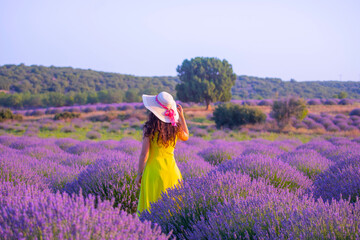 Lavander Garden Isparta Turkey