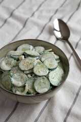 Homemade Cucumber Salad with Sour Cream and Onions in a Bowl, side view.