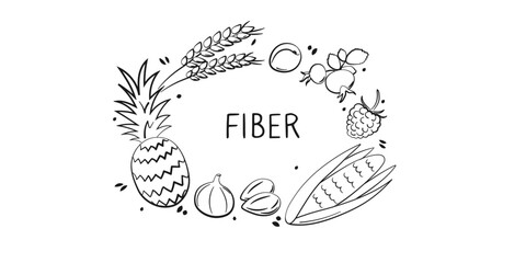 Fiber-containing food. Groups of healthy products containing vitamins and minerals. Set of fruits, vegetables, meats, fish and dairy
