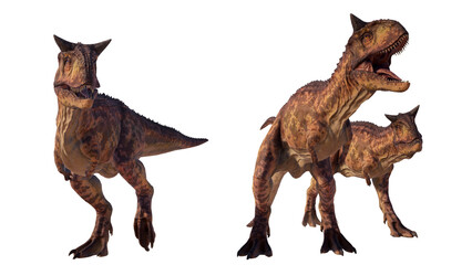 Carnotaurus dinosaur roaring on a blank background PNG ultra high resolution