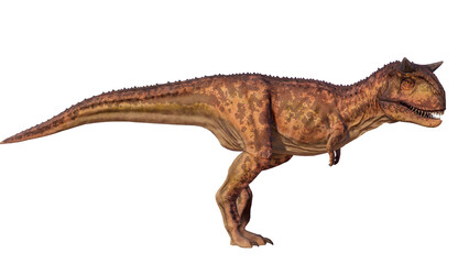 Carnotaurus dinosaur roaring on a blank background PNG ultra high resolution