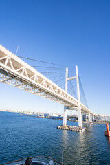 朝日を浴びる白い大きな橋