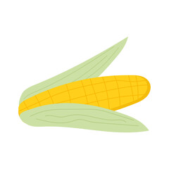 Yellow ear of corn on white background. Vector cartoon illustration.Vector isolated icon.