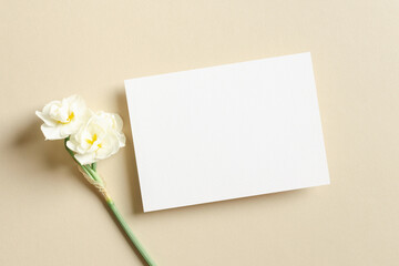 Blank greeting or invitation card mockup with daffodils