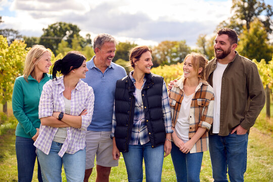 Portrait Of Team Of Graper Pickers At Harvest Working In Vineyard Producing Wine