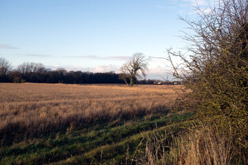 Winter in Halsall, Lancashire, England.