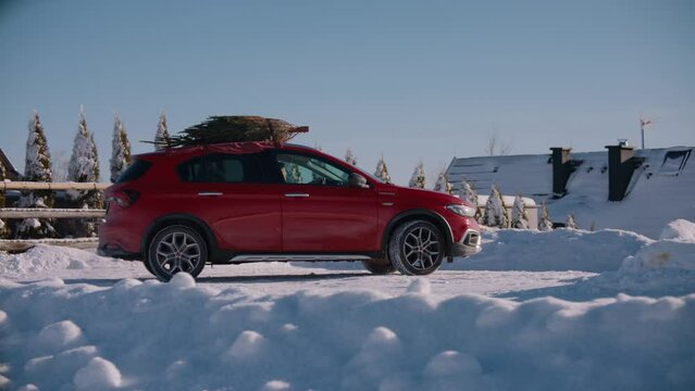 Family driving home with a Christmas tree tied to a roof of a generic red car against beautiful mountain landscape