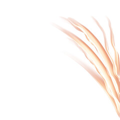 Abstract lines and shapes for design.Stylish templates in gold.Gold lines and shapes.Template,background with gold lines