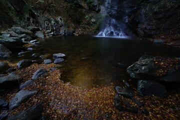 滝　秋景色