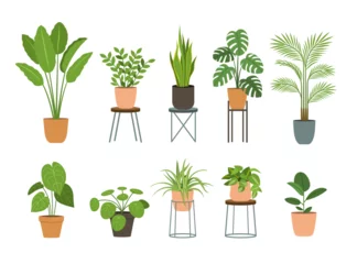 Tuinposter Set of houseplants. Indoor plant in flowerpot. Decorative houseplants for interior home decoration, green garden floral collection © bonezboyz