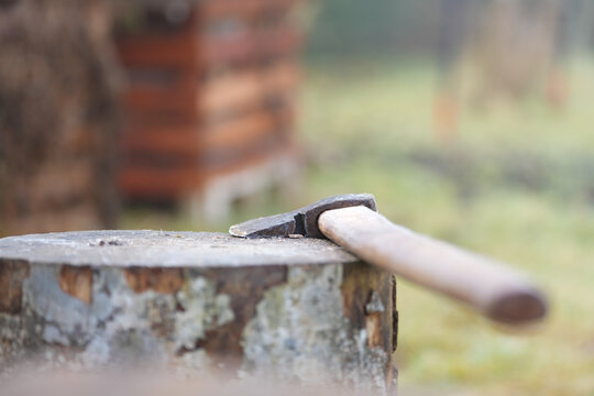 Federhammer Bilder Durchsuchen 6,153 Archivfotos, und