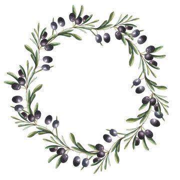 Watercolor wreath with black olive berries and leaves. Hand painted floral border with olive fruit and tree branches with leaves isolatedon white background. For design, print and fabric