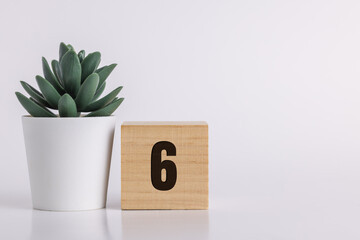Number 6  on wooden pine block on white background next to a succulent plant with room for copy or...